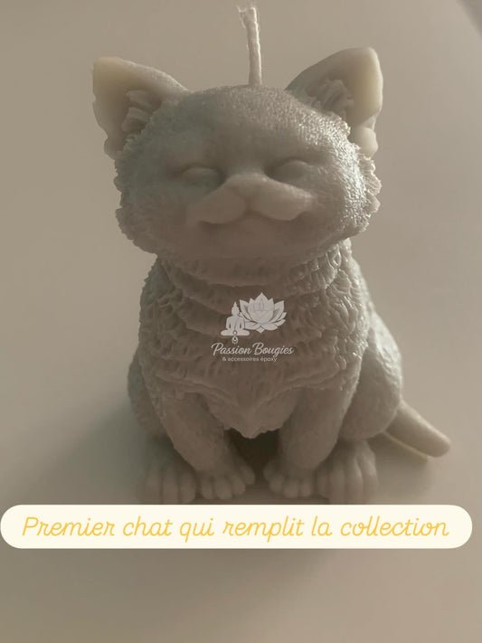 Chat assis yeux fermés
