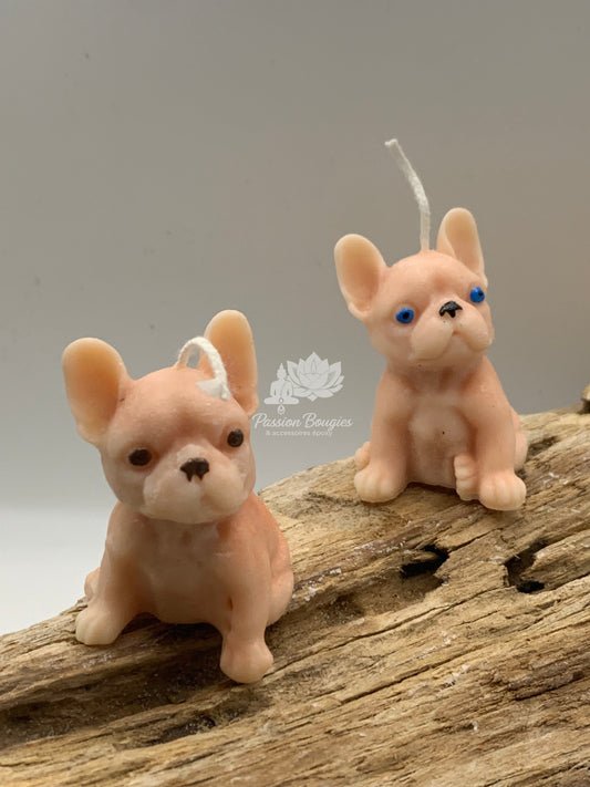 Bouledogue petit assis